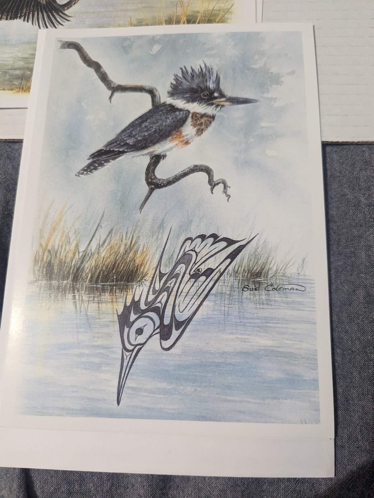 Sue Coleman Prints Birds Lot Of 4 With Envelopes 6″ X 8.5″ Loon Heron Kingfisher