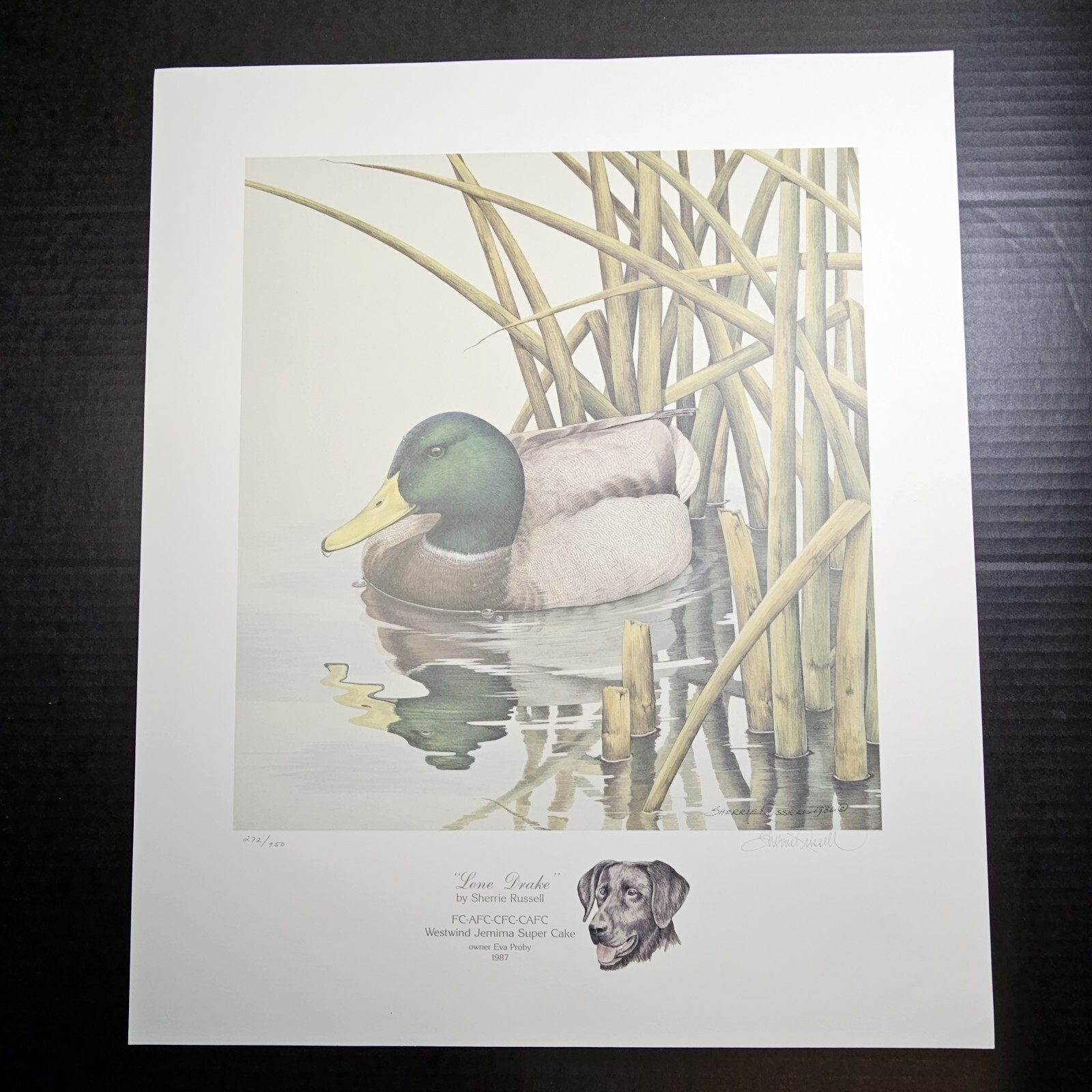 Limited Sherrie Russell Lone Drake Duck Art Print Pencil Signed & Numbered