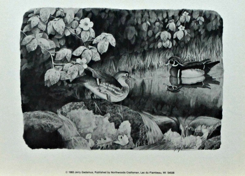 Wood Ducks by Jerry Gadamus Black and White Print