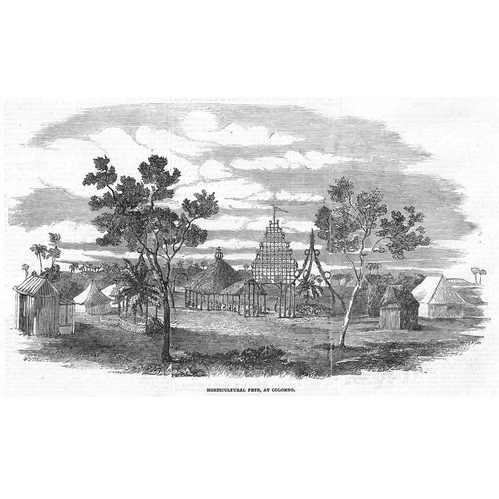 SRI LANKA Horticultural Fete at Colombo Ceylon – Antique Print 1854
