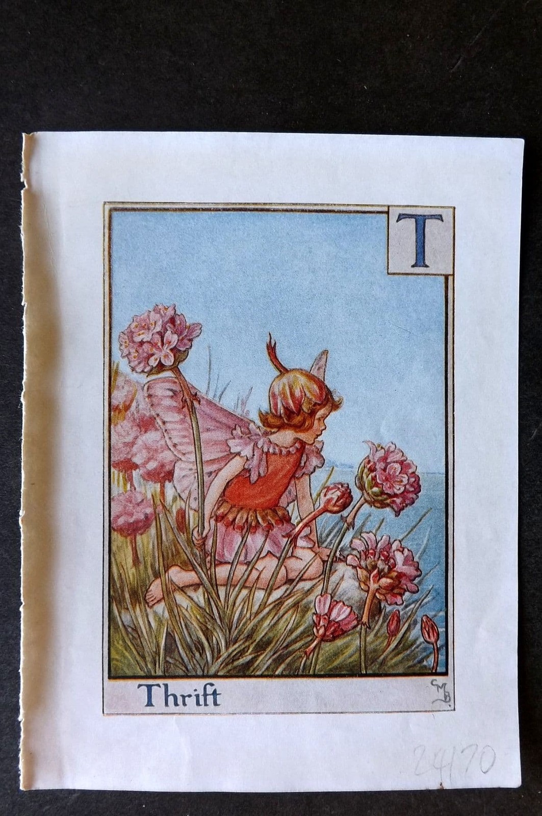 Cicely Mary Barker C1940 Flower-Fairy Alphabet Print. T – Thrift
