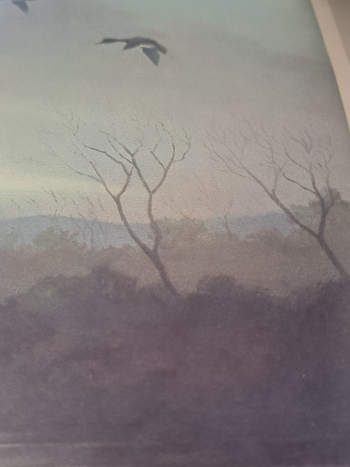 Wilfred Bailey Sundown Waterfowl Lithograph Watercolor Vintage Print