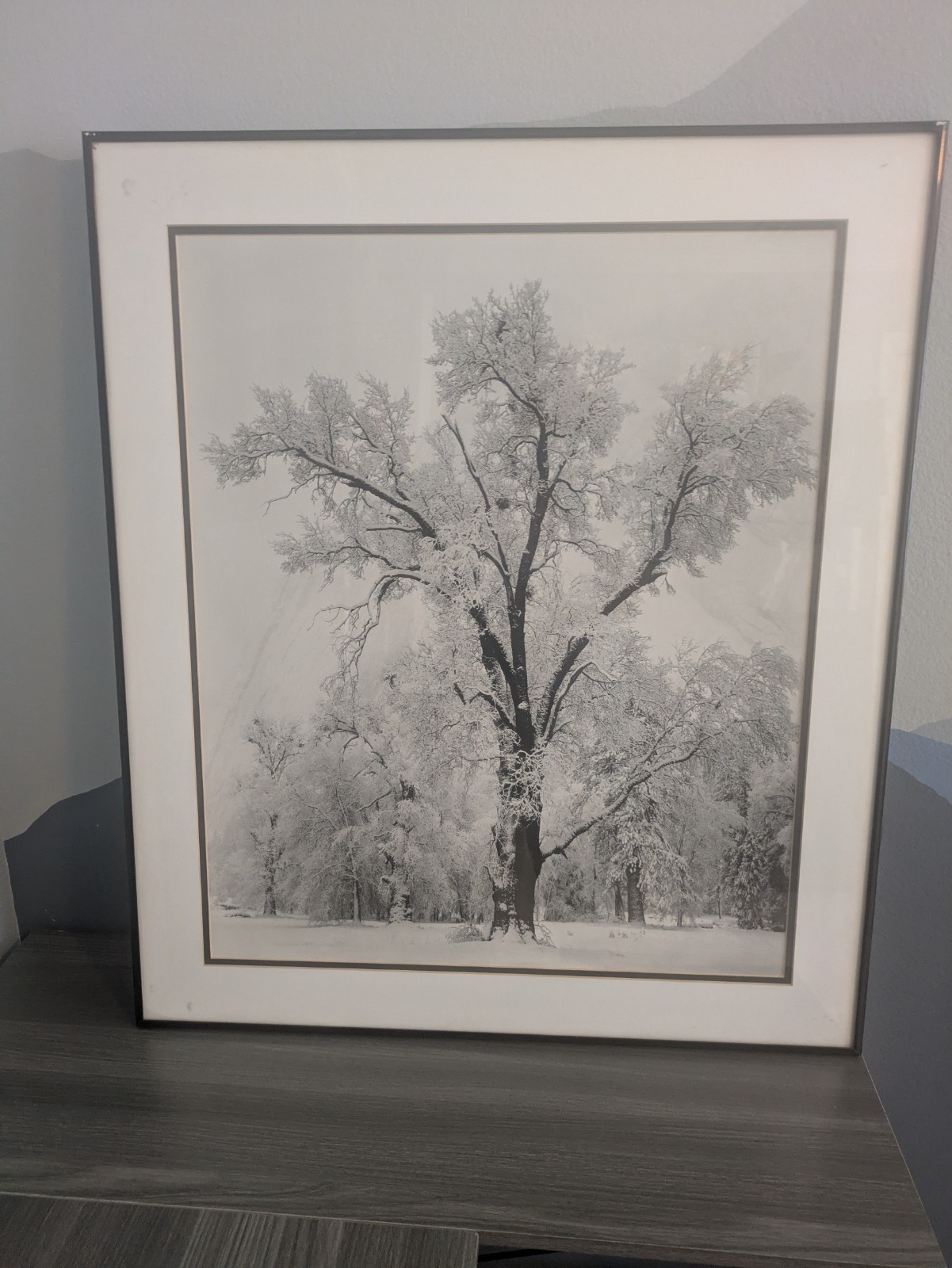 1948/80 Vintage ANSEL ADAMS Landscape Yosemite Oak Tree Snow Winter Tritone Art