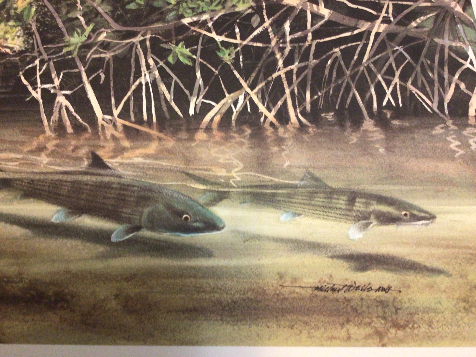 Millard Wells Art Prints Signed
