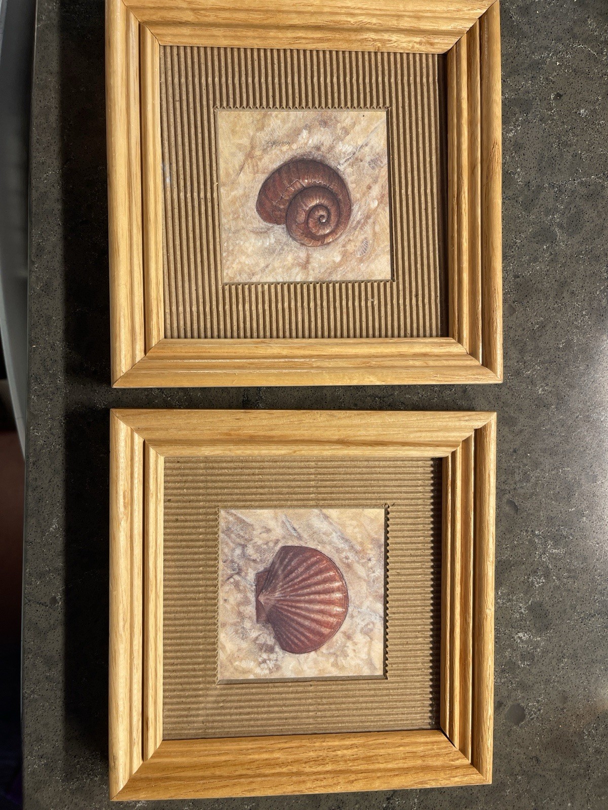 Arnie R Fisk Beachy Spiral Shell Lithograph Print (2) Matted Framed Earth Tones