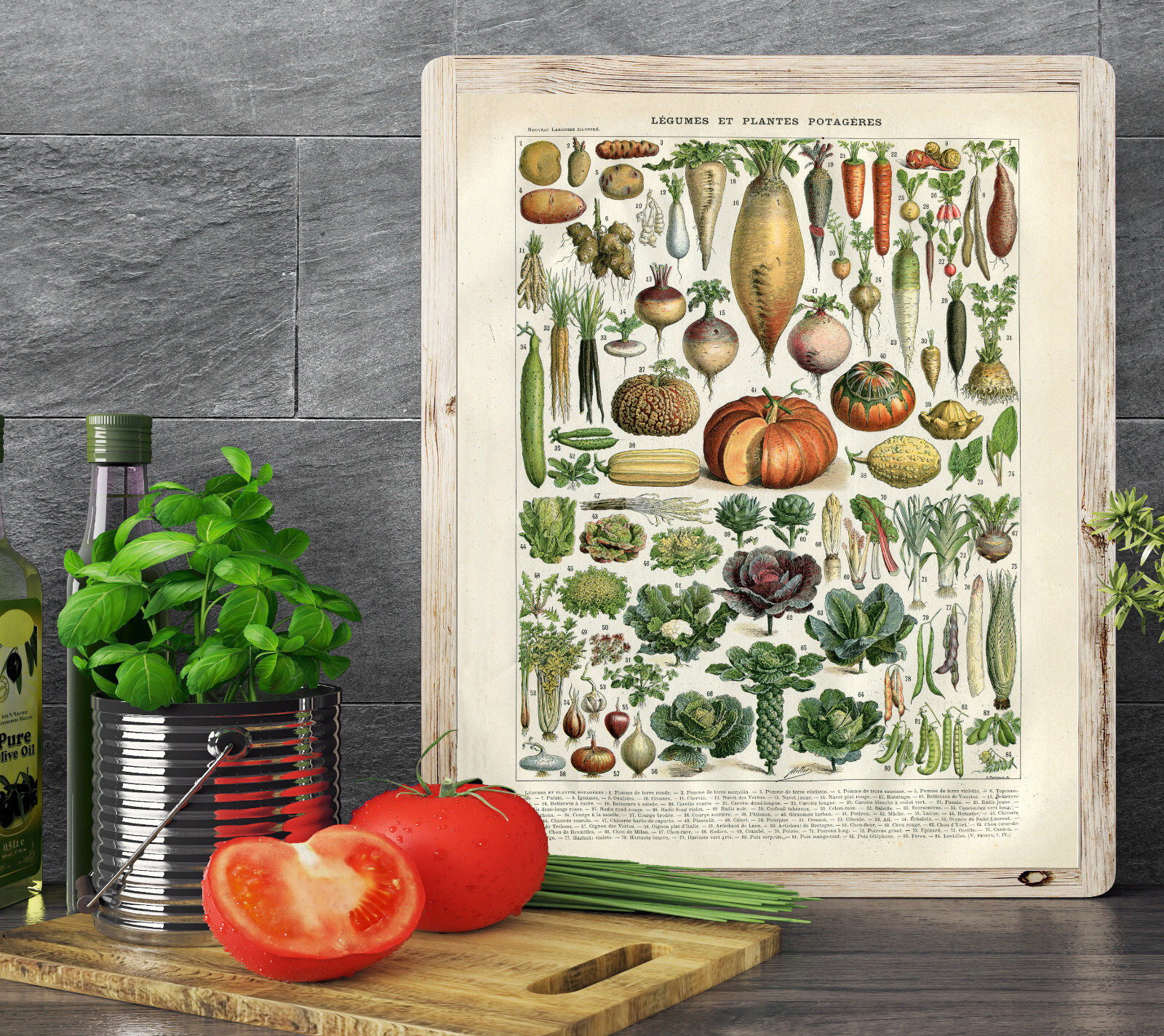 Larousse Poster Print Vegetables Pumpkins Vegetables Artichoke Lettuce Cabbage