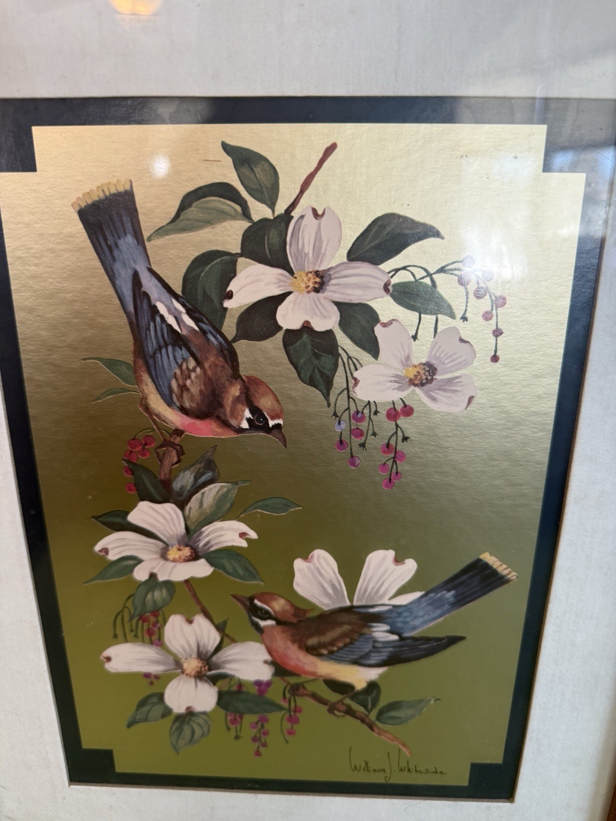 Vintage Foil Art Print William J. Whiteside Birds On Dogwood 15.5 X 12 Inches