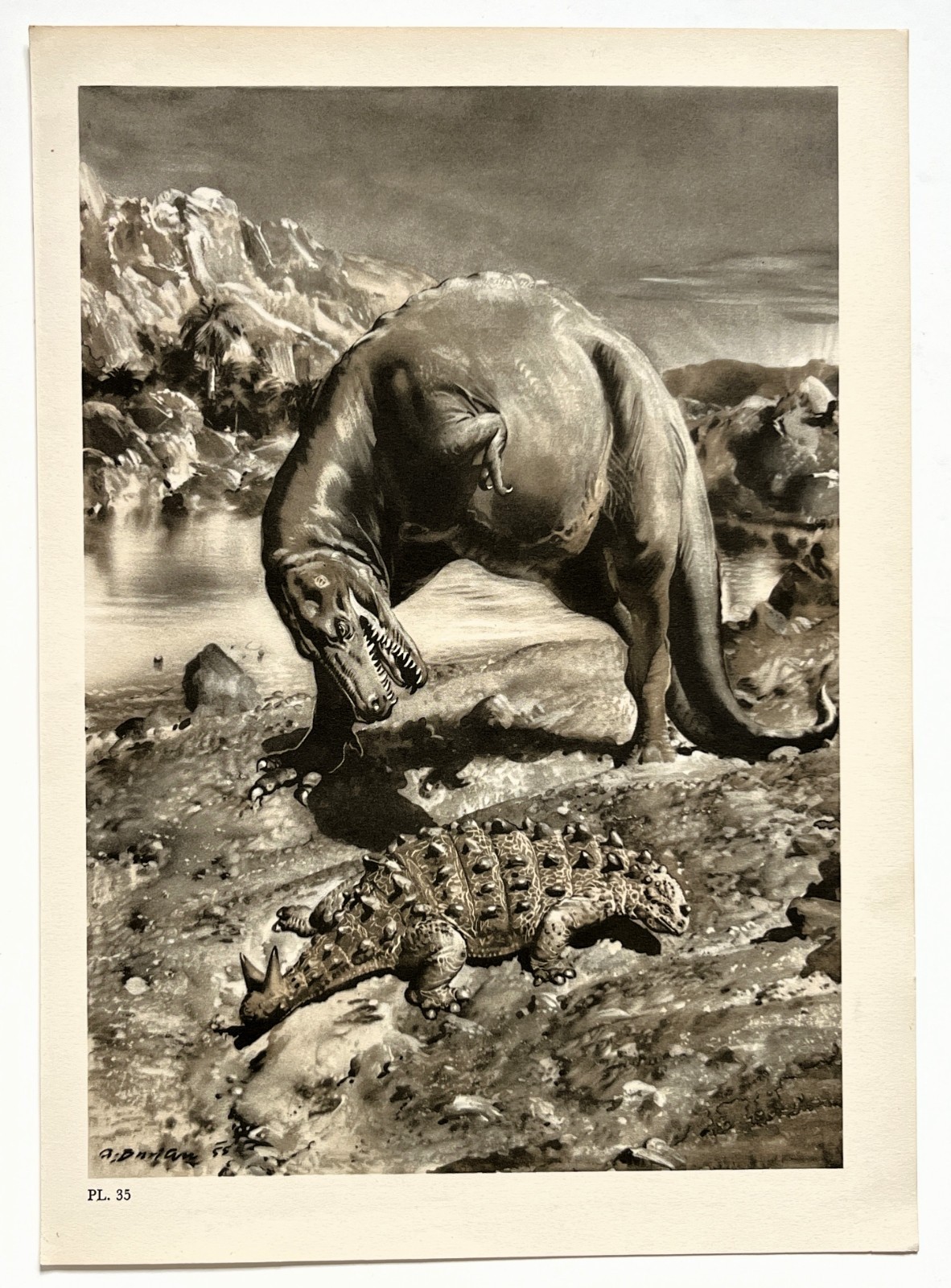 GORGOSAURUS & SCOLOSAURUS Dinosaurs, Vintage 1960s Colour Print by Burian