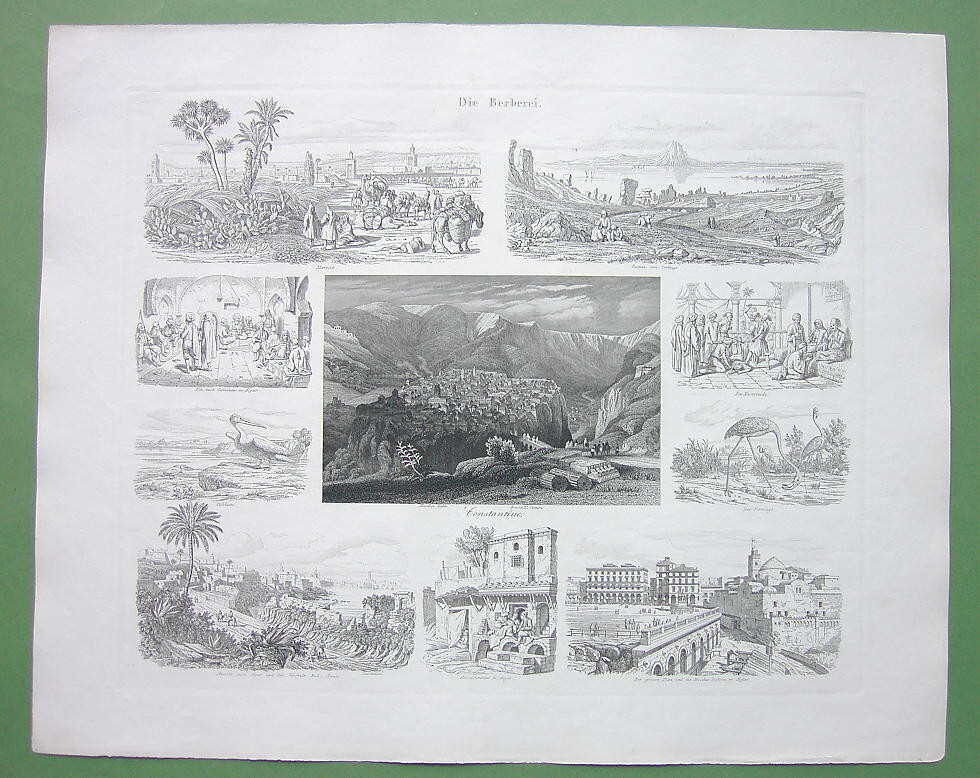 ALGERIA Morocco Tunisia Algiers Mosques Coffee House People Birds – 1860 Print