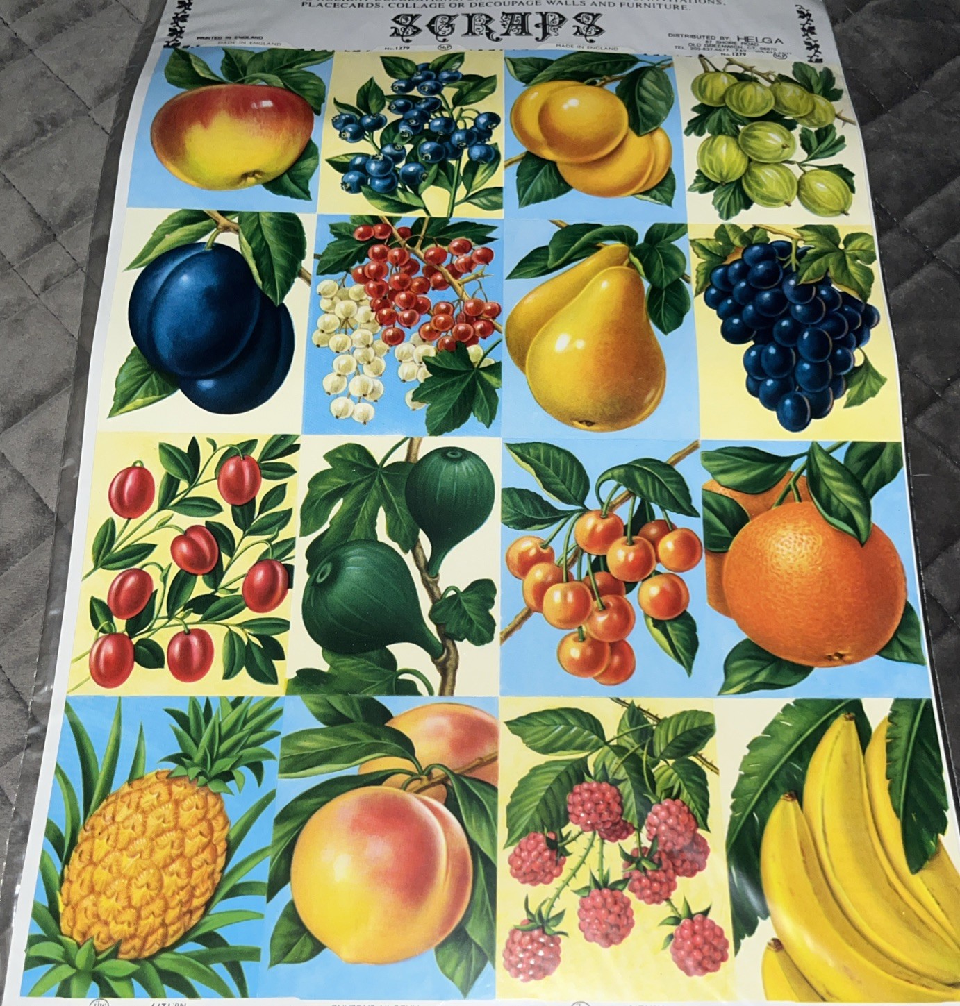 Scrapbook Ephemera Complete Large Sheet Large Arc Journal sticker FRUIT 90s RARE