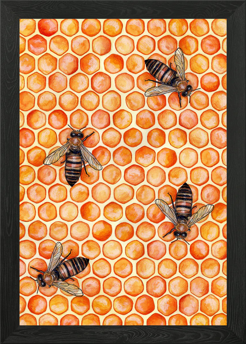 Honeycomb and bees Framed Wall Art Poster Canvas Print Picture