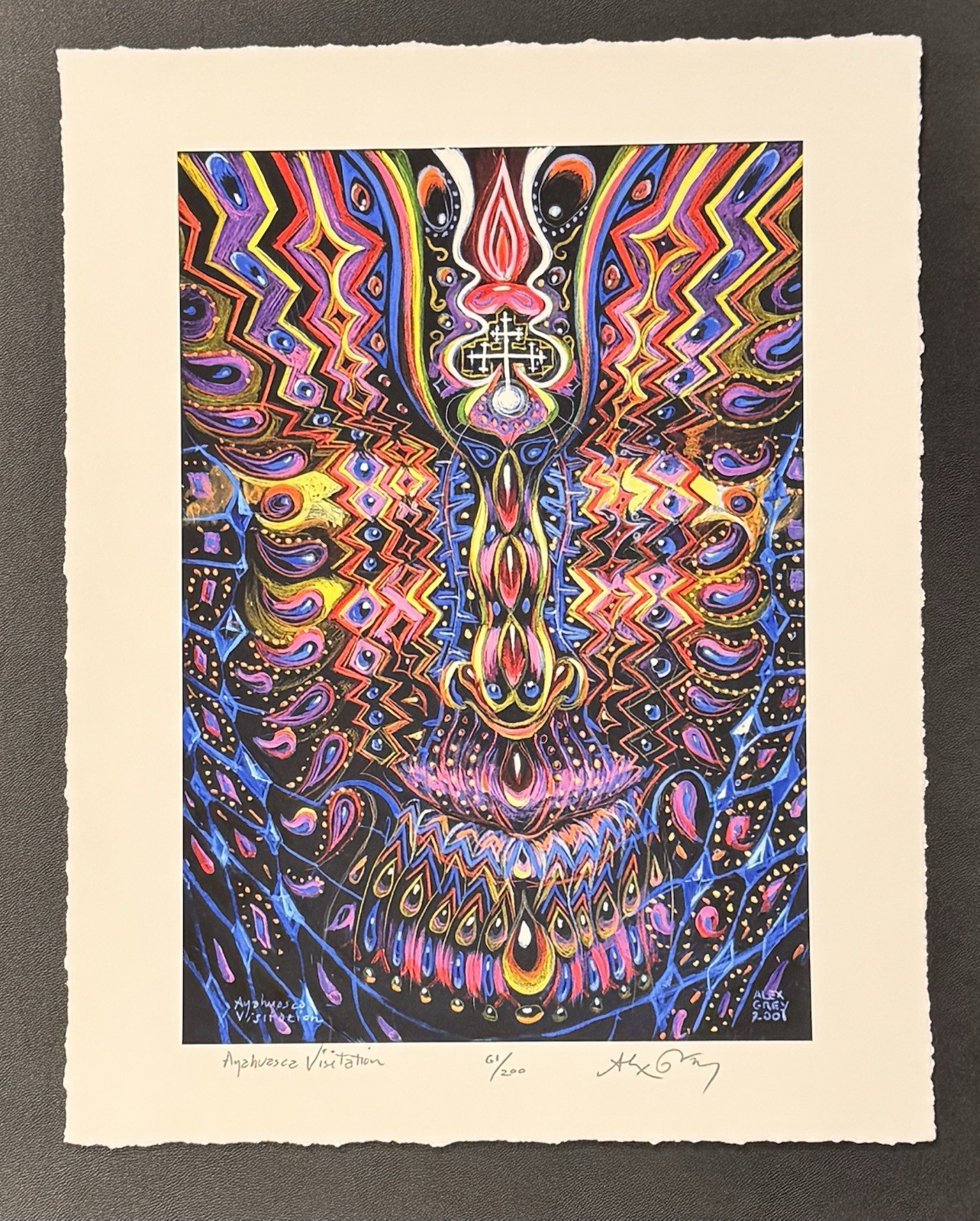 Alex Grey Ayahuasca Visitation Art Print S/# 61/200 w COA Psychedelic Visionary