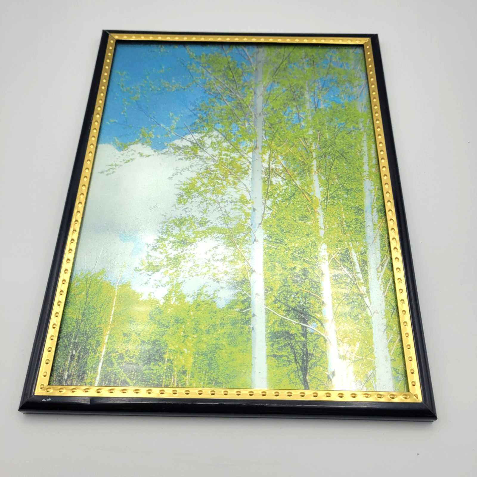 VTG-Landscape Print w/Metallic Details-Original Plastic Frames-Mountains/Trees