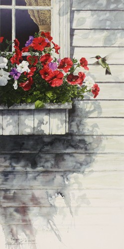 Mike Capser Window Shopping – Petunias in Windobox Artist’s Proof on Paper