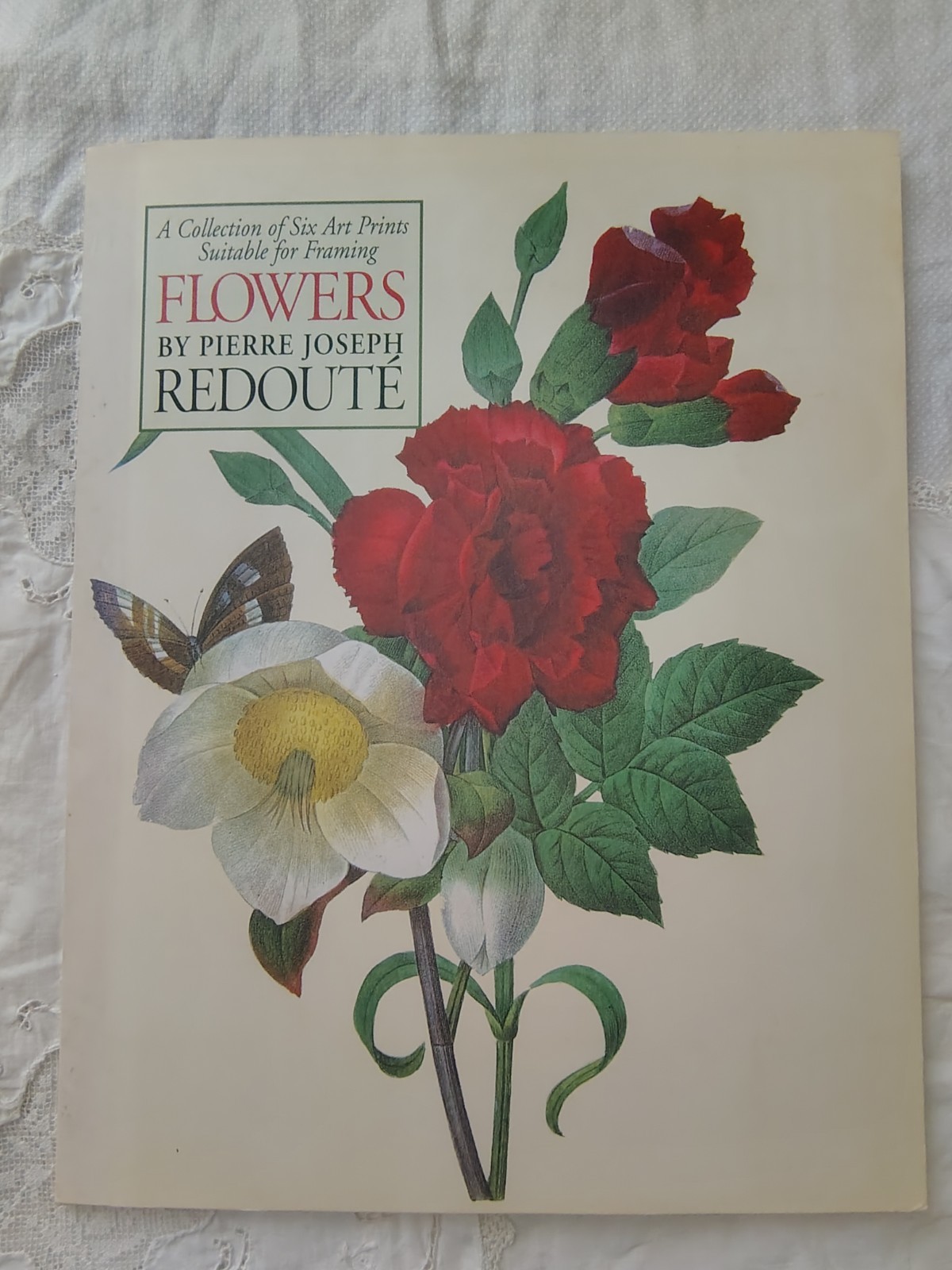 Pierre Joseph Redouté Botanical Flowers Portfolio of 6 Full Color Prints 11×14″