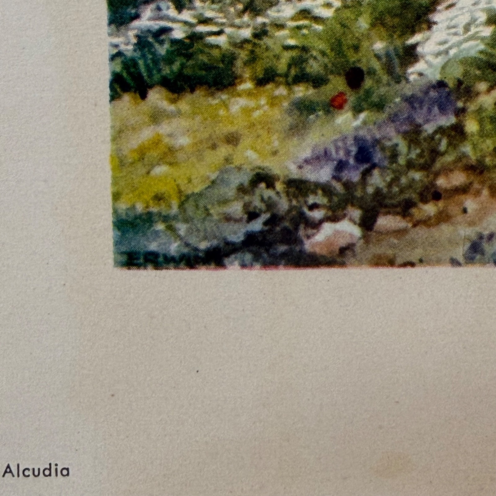 Erwin Hubert Molinos Alcudia Mallorca Orig Tourism Print c1949 Fomento Windmill