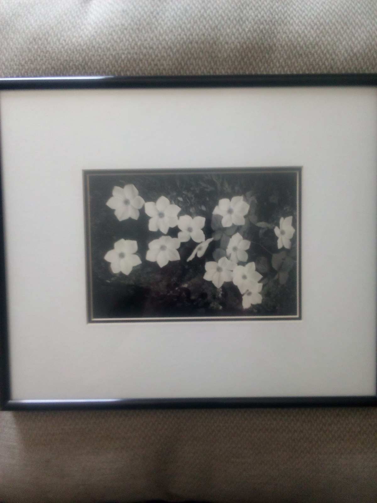 Vintage 1993 Ansel Adams Dogwood Blossoms 1943 print lithograph framed matted