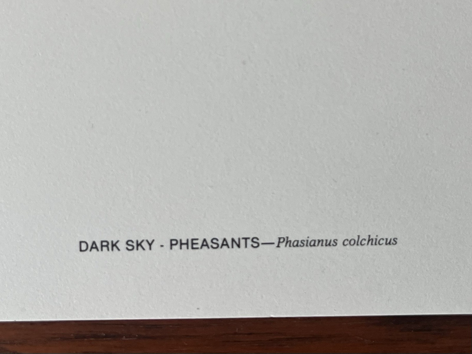 Maynard Reece Dark Sky – Pheasants Signed Print 857/950. 16.25” X 24.5” Nice