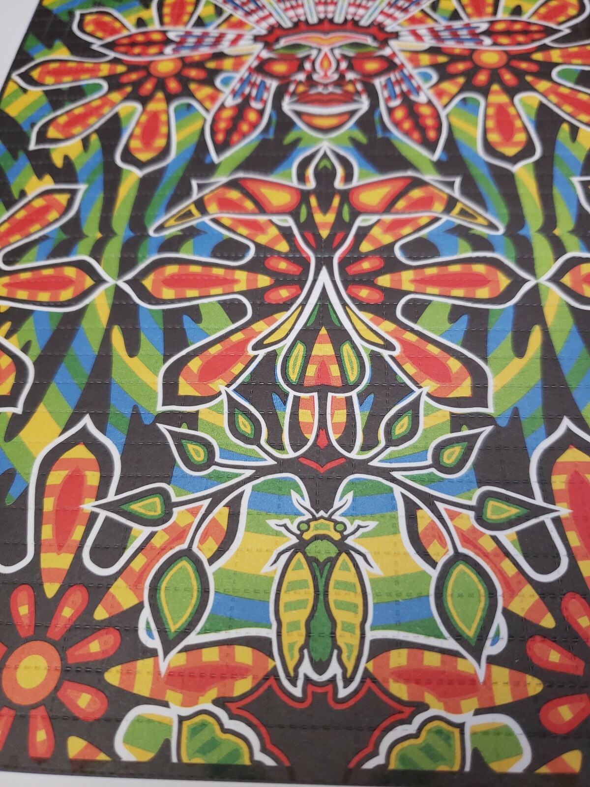 Rick Sinnett “Indian Warrior” signed blotter art print limited edition sheet art