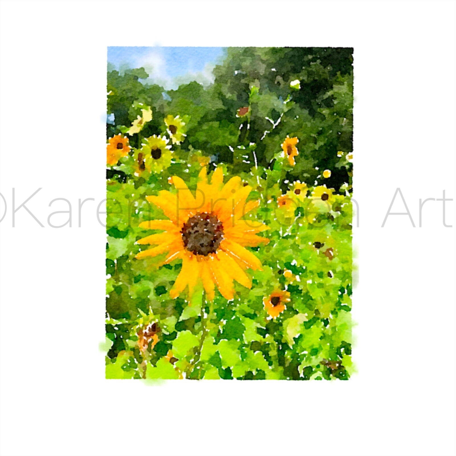 ACEO ATC Art Card Watercolor Print Signed Floral Sunflowers Flower Garden