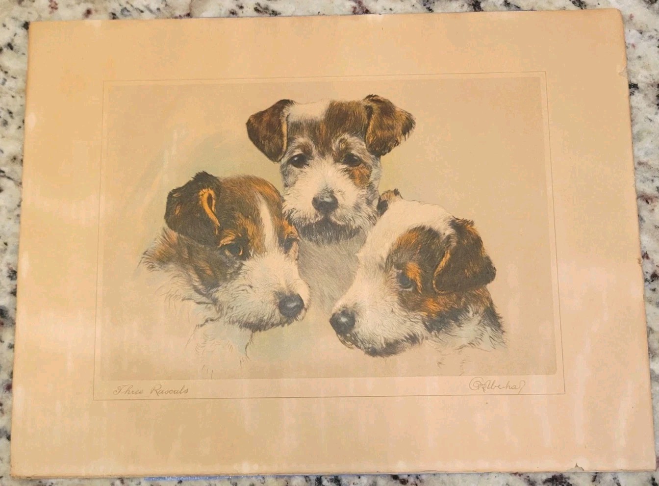 Terrier Kurt Meyer-Eberhardt Three Rascals Dog Print 16×12 Early 1900s