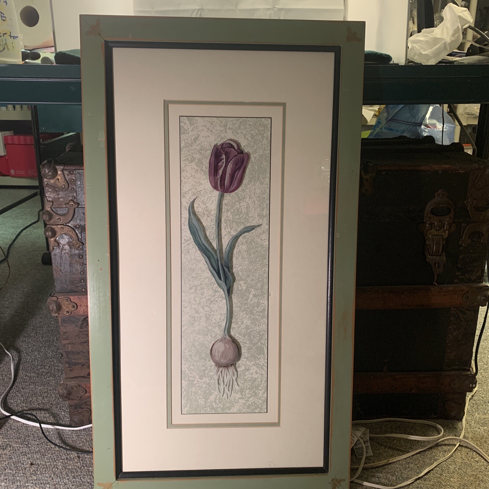 Paul Brent Open Tulip Watercolor Framed & Matt 32 1/2″ x 18”
