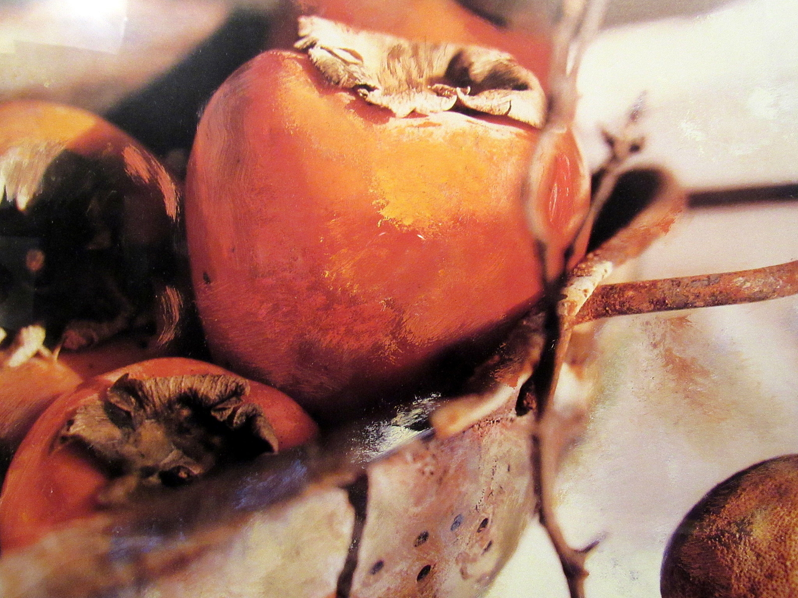 Artist Deborah Roundtree Framed Print PERSIMMONS Still Life art photo Gold frame