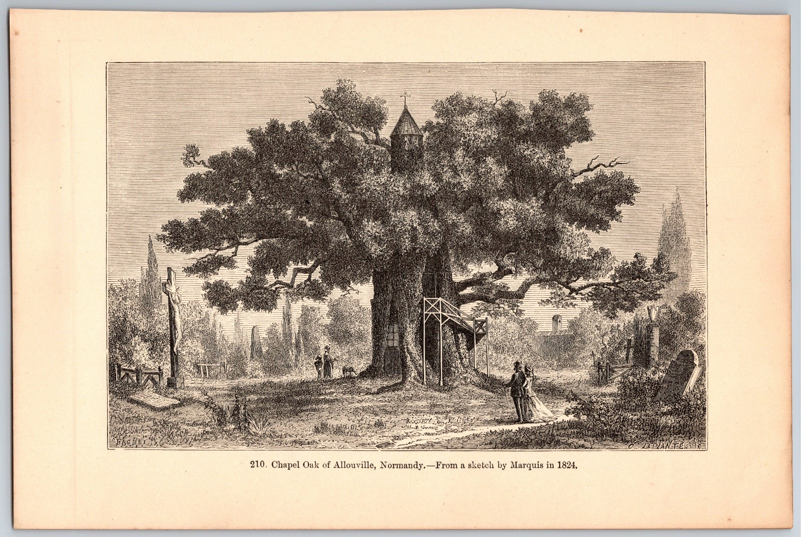 1882 Antique Print Engraving on Wood – Chapel Oak of Allouville, Normandy