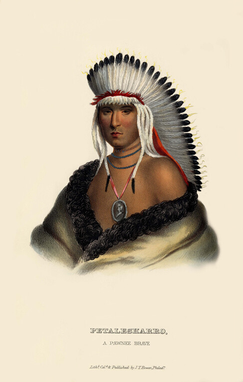 McKenney Hall Indian – PETALESHARRO, a Pawnee Brave 13 x 19 print