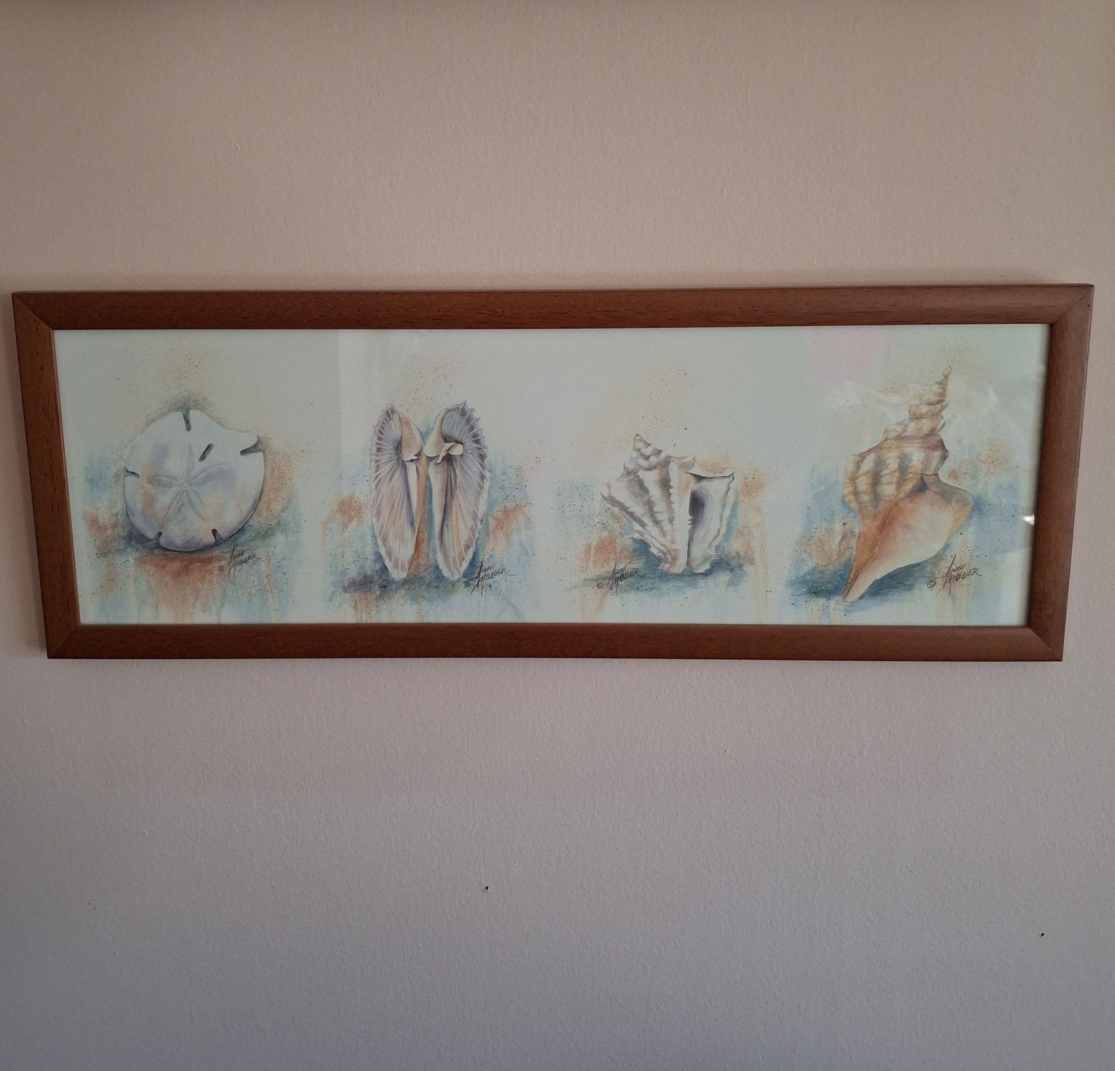 Vintage Shells Print Signed Anni Moller Framed 22” x 8” Beach Ocean Shore