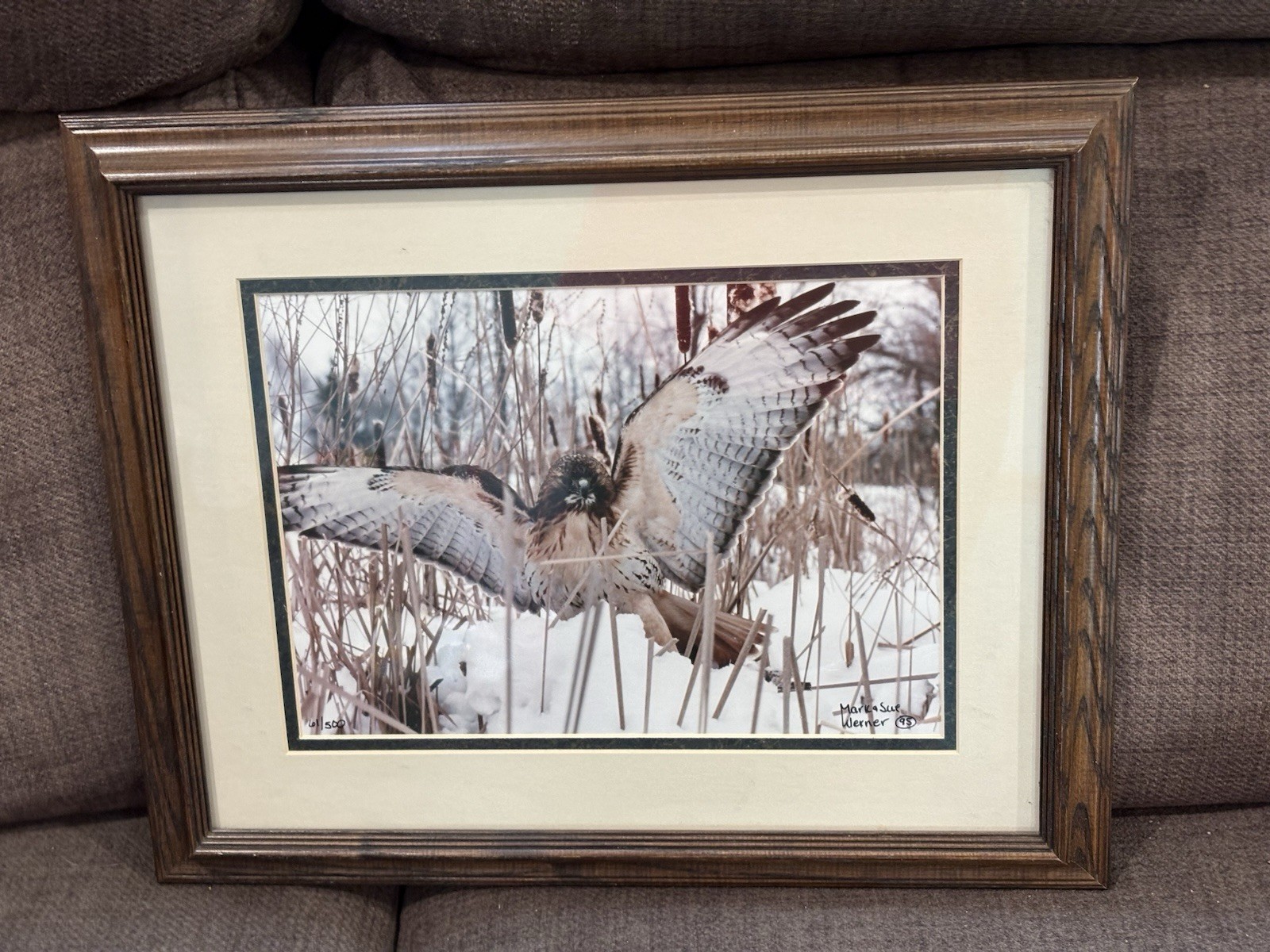 Pre Owned VTG Remarkable REDTAILED HAWK STRETCHING LITHOGRAPH PRINT FRAMED61/500