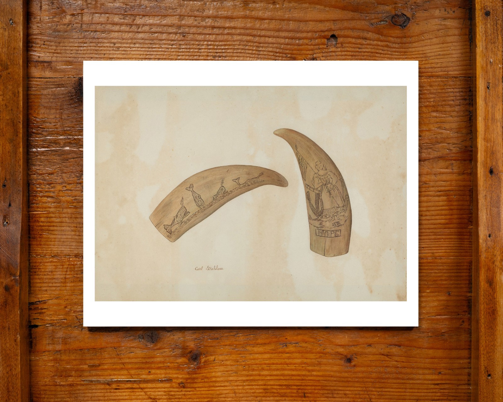 Antique Whale Flag Liberty Scrimshaw Archival PRINT 11×14 Watercolor Made in USA