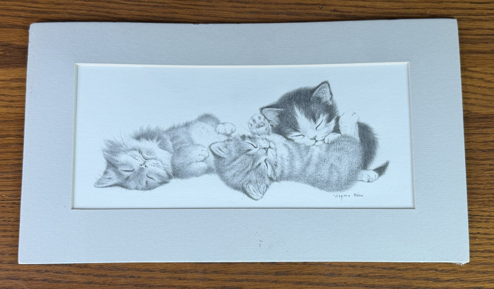 SNUGGLING KITTENS FRAMED ART PRINT VIRGINIA MILLER Black & White Cat Wall Art