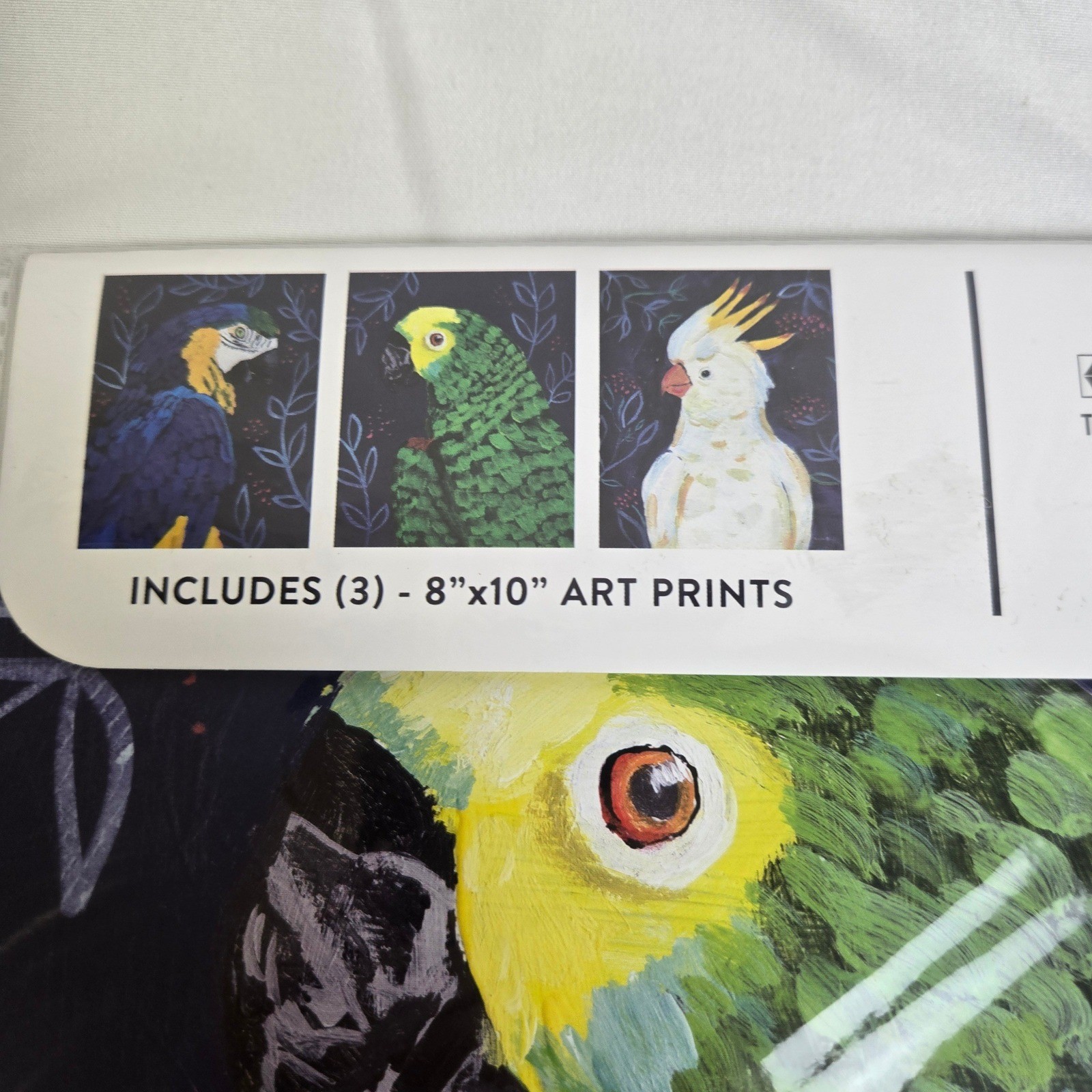 DesignOvation Tropical birds 3 Pack Paper Art Prints Unframed 8″ x 10″ New