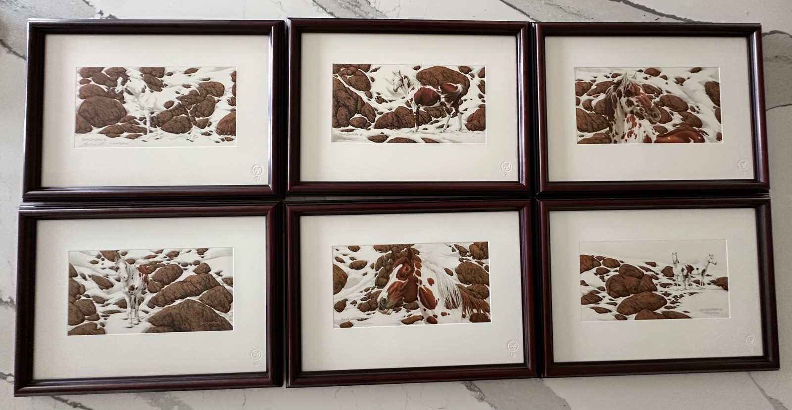 Bev Doolittle “Hide and Seek” Framed & 6 print signed & numbered