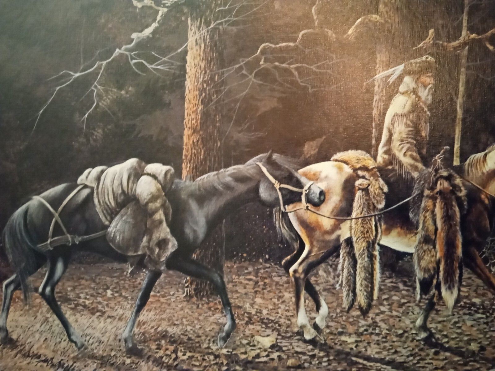 Bill Jaxon Signed and Numbered Print “Breaking out into Light”
