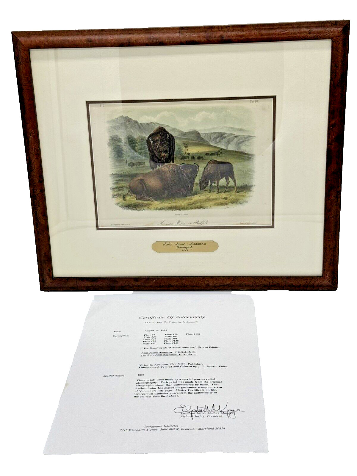 1856 John James Audubon Quadrupeds of North America Plate 57 COA 17.25″Wx13.25″H