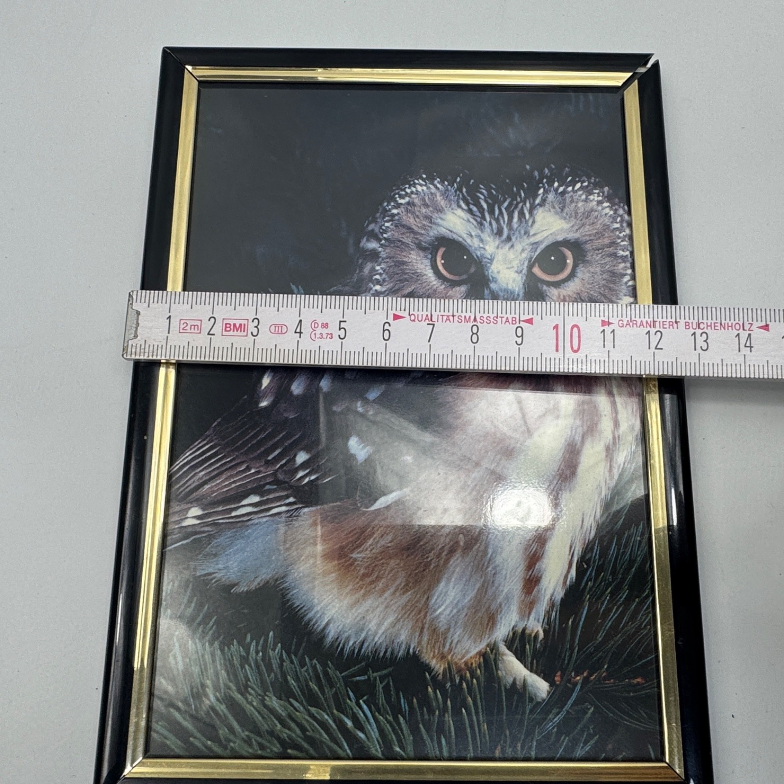 Unbranded Framed Owl Print Black & Gold Frame