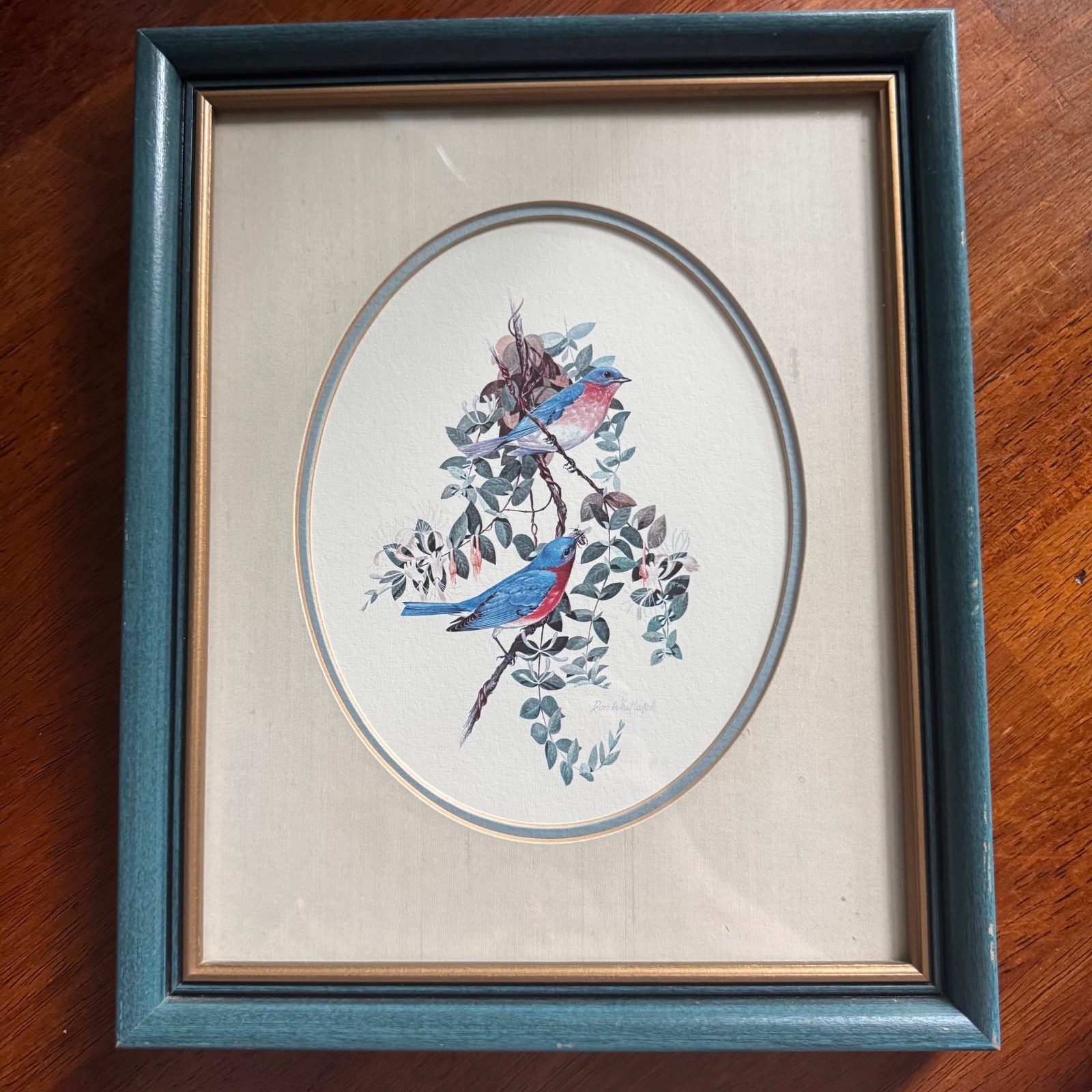 Don Whitlatch Eastern Bluebird Framed Matted Lithograph 9.25″ x 11.25″ Vintage