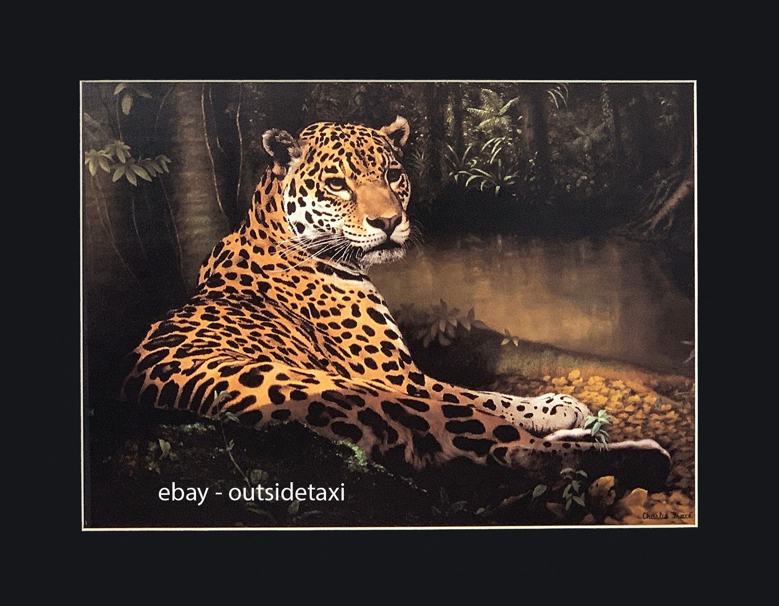 Charles Frace Jaguar Big Cat 11″ x 14″ matted Art Print