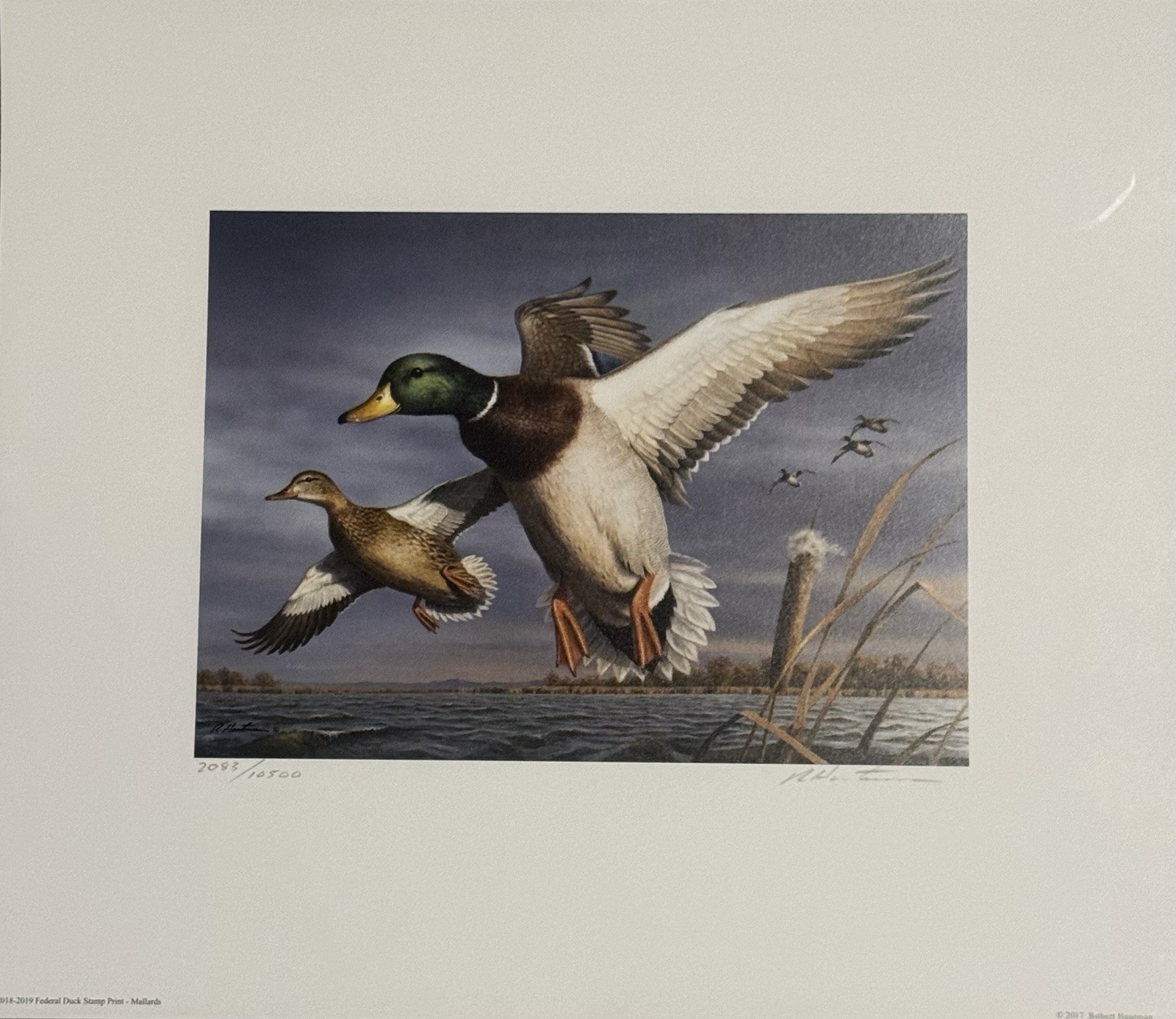 Robert Hautman Mallards 2018 Signed Numbered Limited federal duck stamp print
