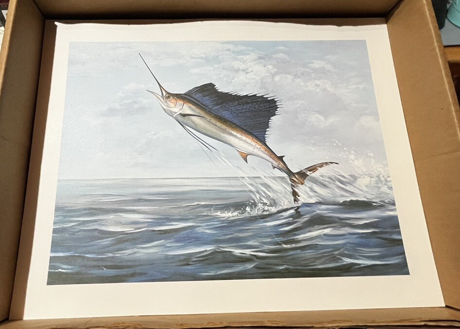 Sailfish Wildlife Print – Sailfish Ocean Nautical