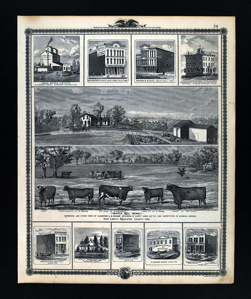 1875 Iowa Atlas Print Business Store Fronts – Maple Hill Stock Farm Muscatine