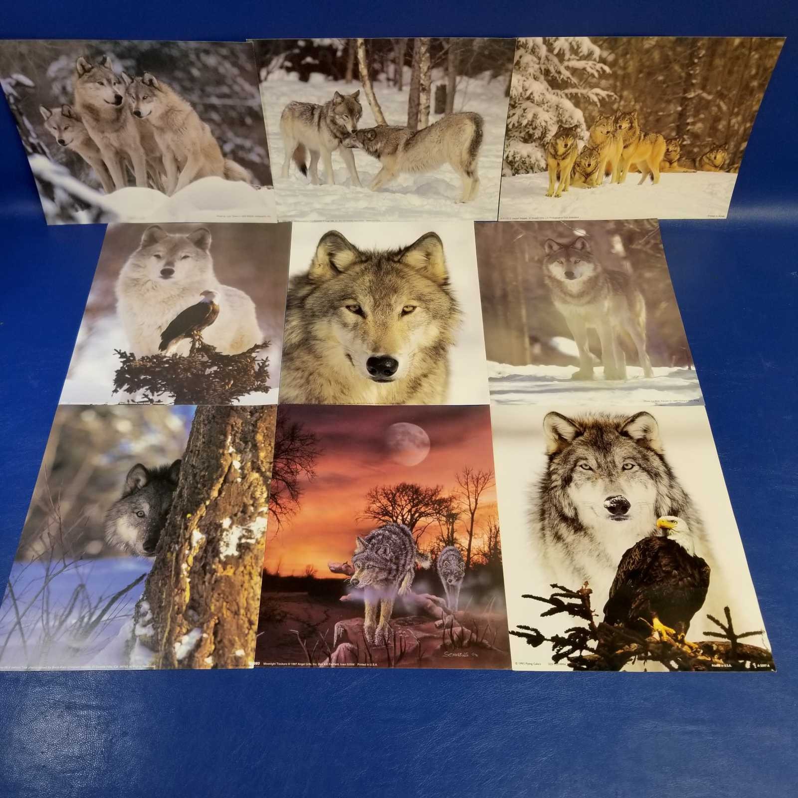 Set of 9 Assorted Wolf Art Prints with Wildlife and Nature Photography Scenes