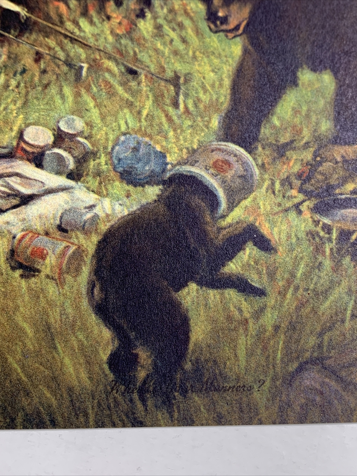 Original Art Print C 1930’s Hunting Bears Sportsman Mom & Cubs At Camp