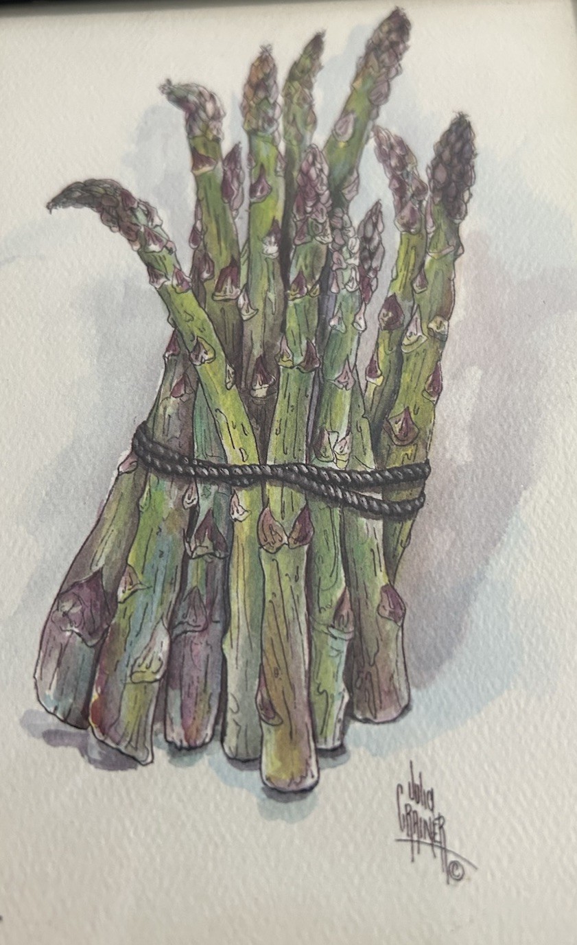 VTG Julia Crainer Still Vegetables Watercolor Prints Asparagus Artichoke Framed