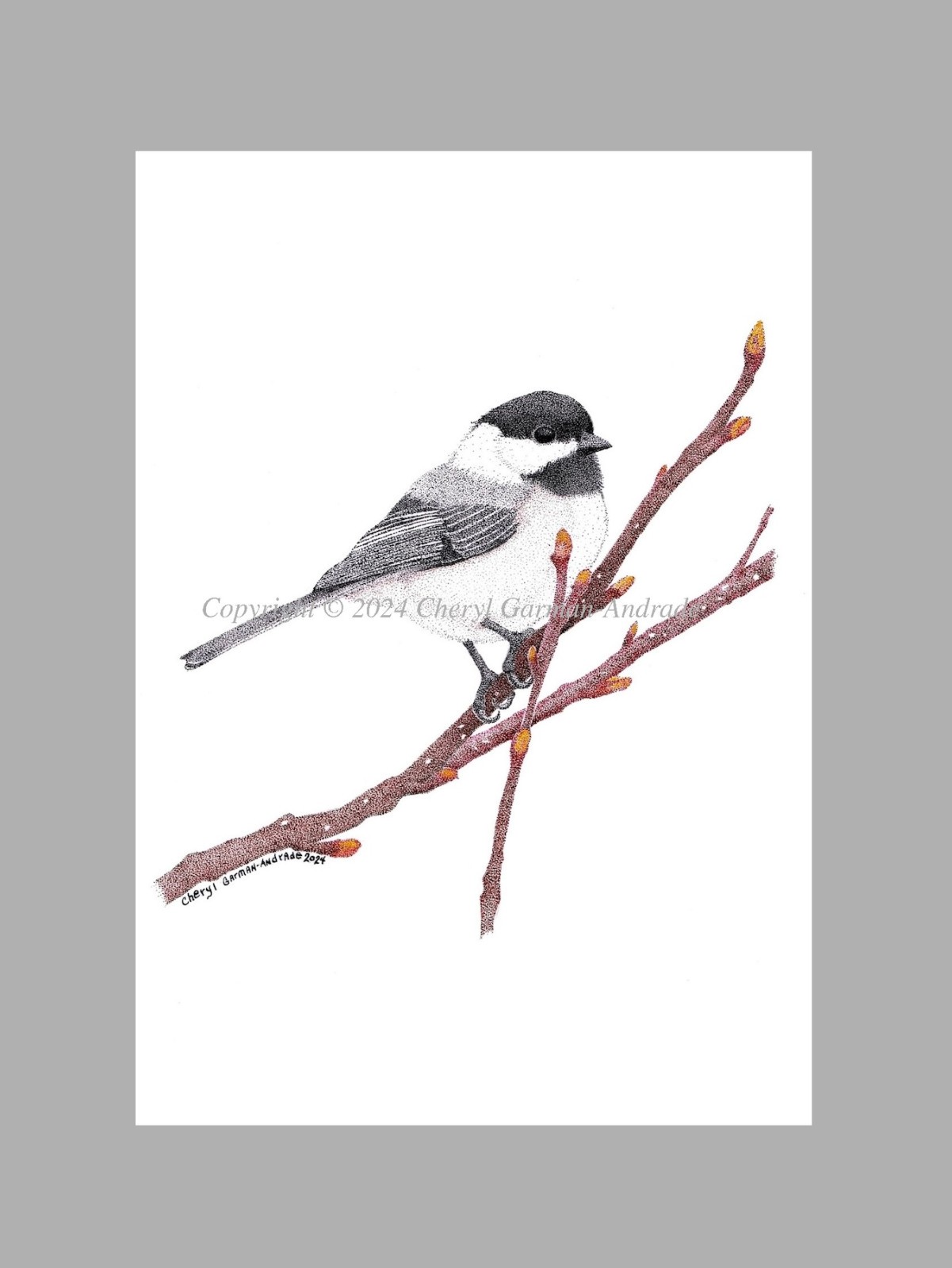 Black Capped Chickadee Ink Pointillism Print by Cheryl Garman-Andrade.