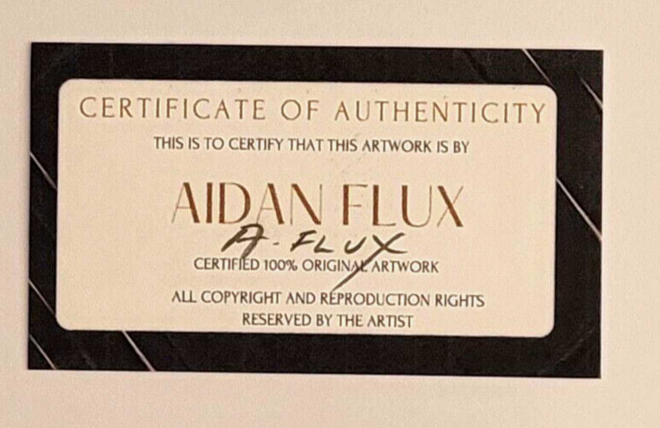 AIDAN FLUX | Hand Signed Authentic Print Framed The Dallas Cowboy COA