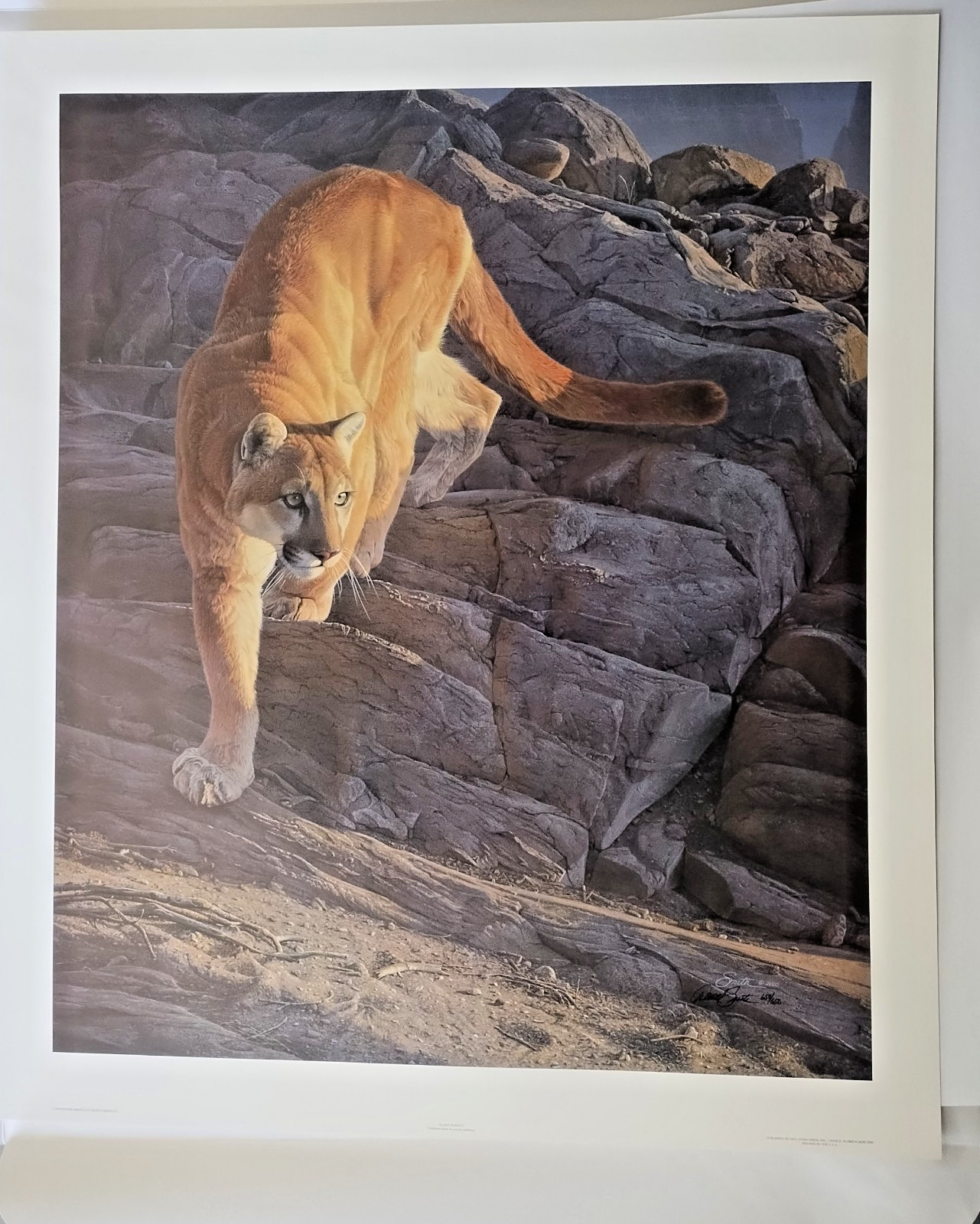 Daniel Smith Mountain Lion Cougar Silent Pursuit S/N Lithograph #650/650 w/COA