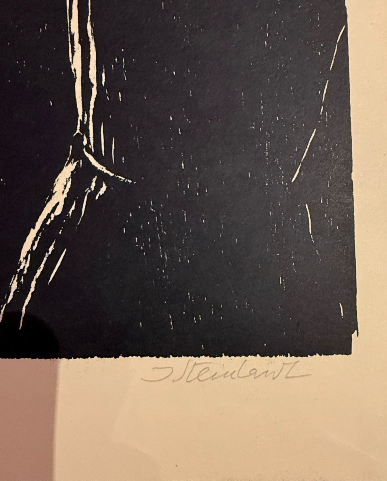 Steinhardt Signed ltd ed Woodcut Noah Blesses Animals Judaica israel Bible 1965